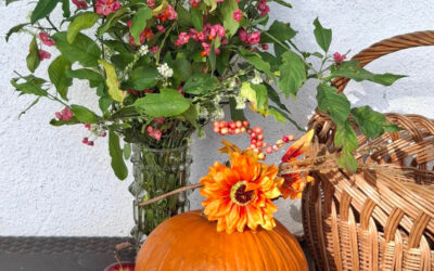 Jsme svobodní i v rozhodování o posledních věcech svého života? Do jaké míry je můžeme ovlivnit?